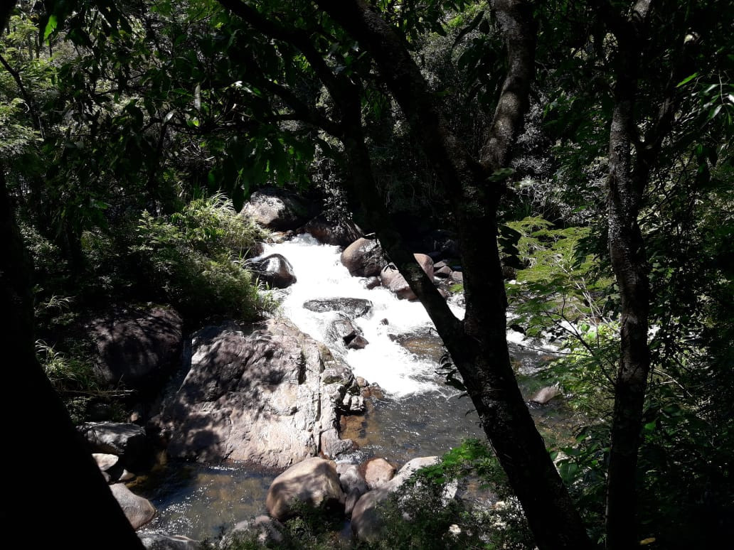 64e01541-82b5-4b3e-9869-eec4a211b957.jpeg