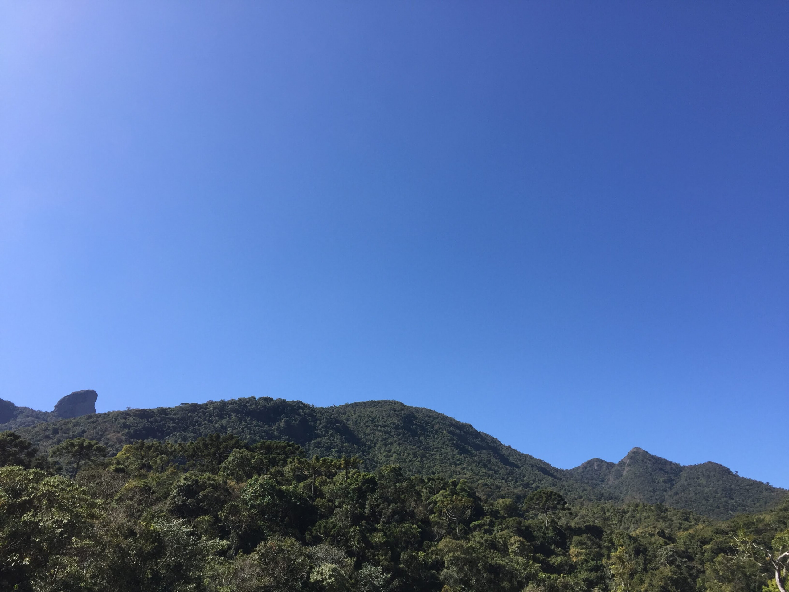 b2d00e05-36ad-448b-97ea-96ed8ad28f87-8-scaled.jpeg