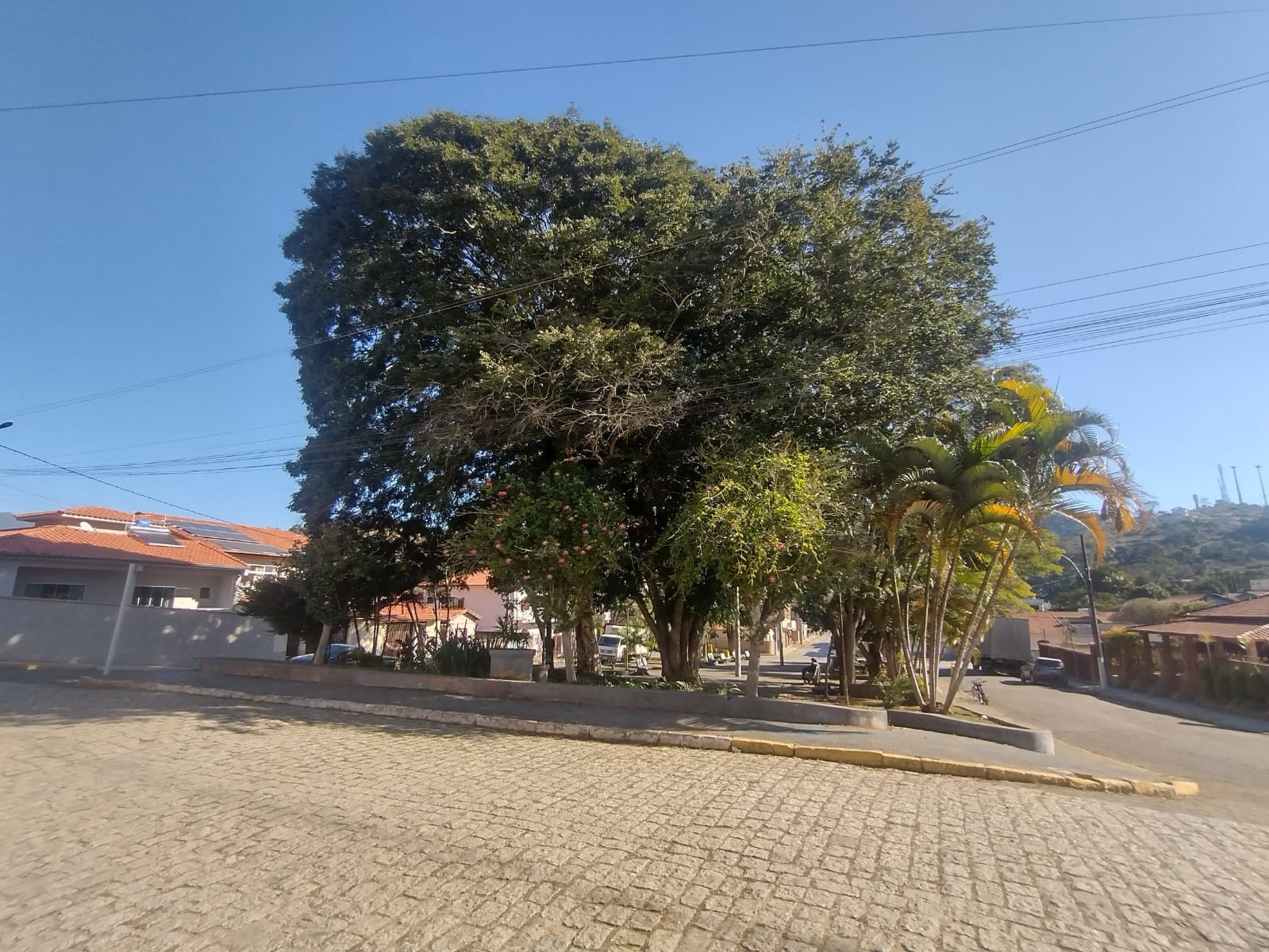 0436fcae-6961-4bd5-9ea9-184642a94648.jpeg