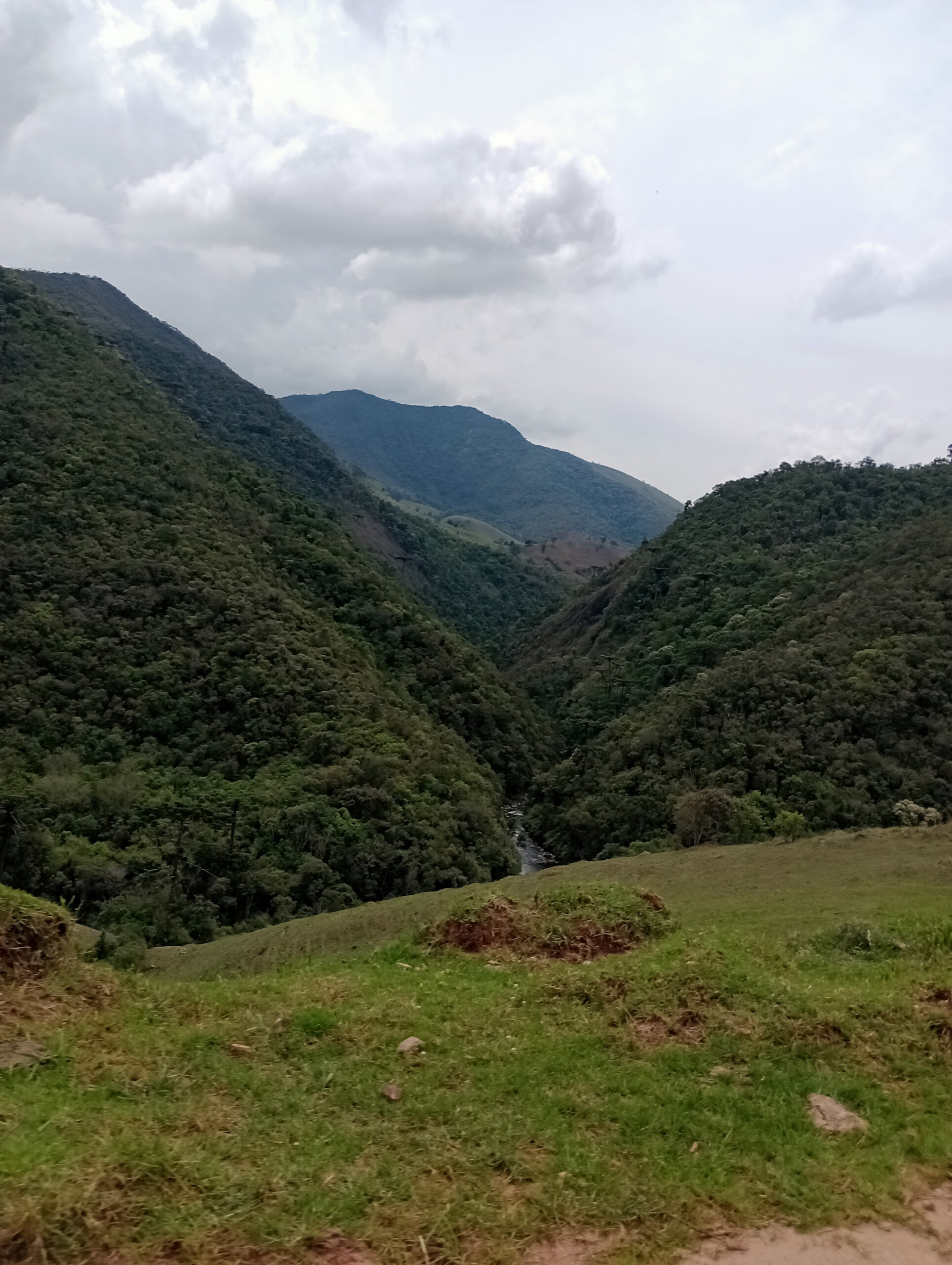 860e154c-3b55-4c5d-8036-fdfe1783386b-scaled.jpeg