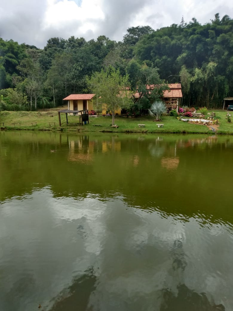 7a7b1535-ab36-454c-8a87-14a07931d6c7.jpeg