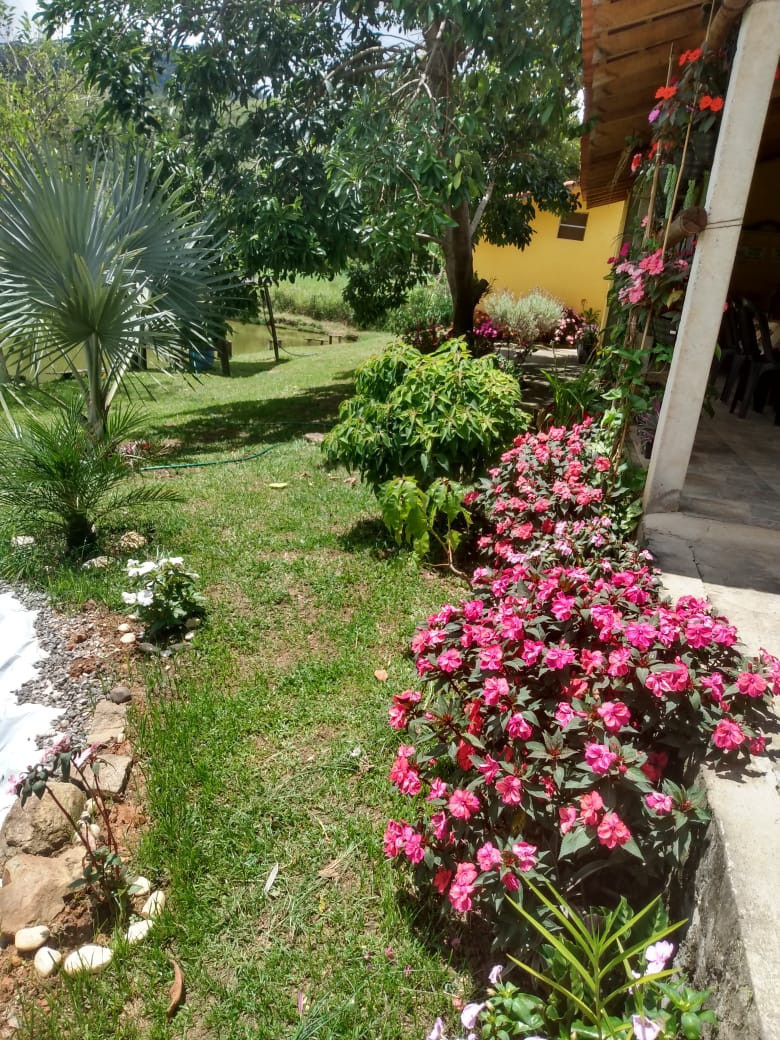 80e6c4b7-e6b0-41df-bf7a-08750a86330d.jpeg