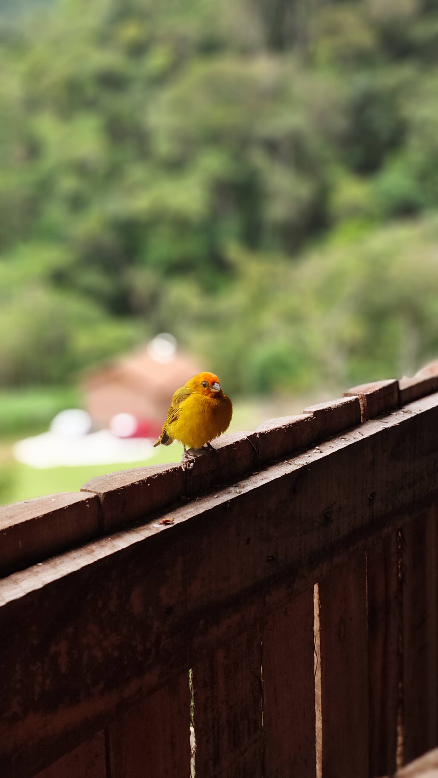 3645d1c1-41cc-4146-8aba-e27408d84094-3-scaled.jpeg