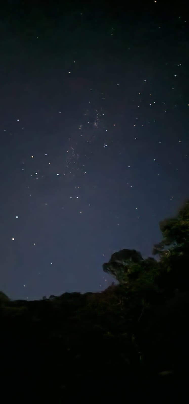 b0a00e2f-d591-4879-997b-840b7fbe712a-3.jpeg