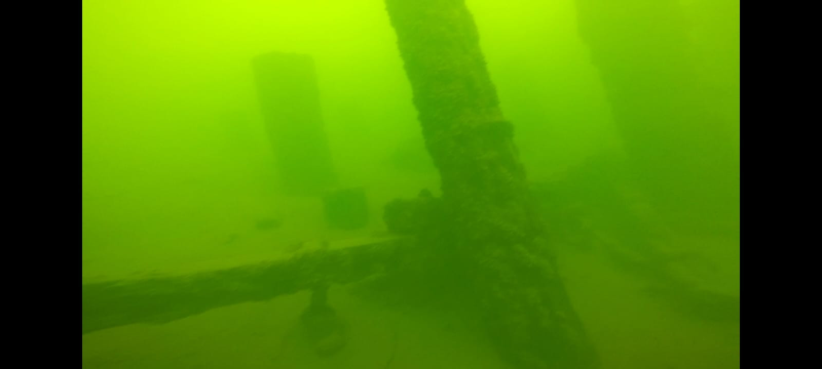 2efe6a11-5295-4333-aa5a-8c3dd3a22f47.jpeg