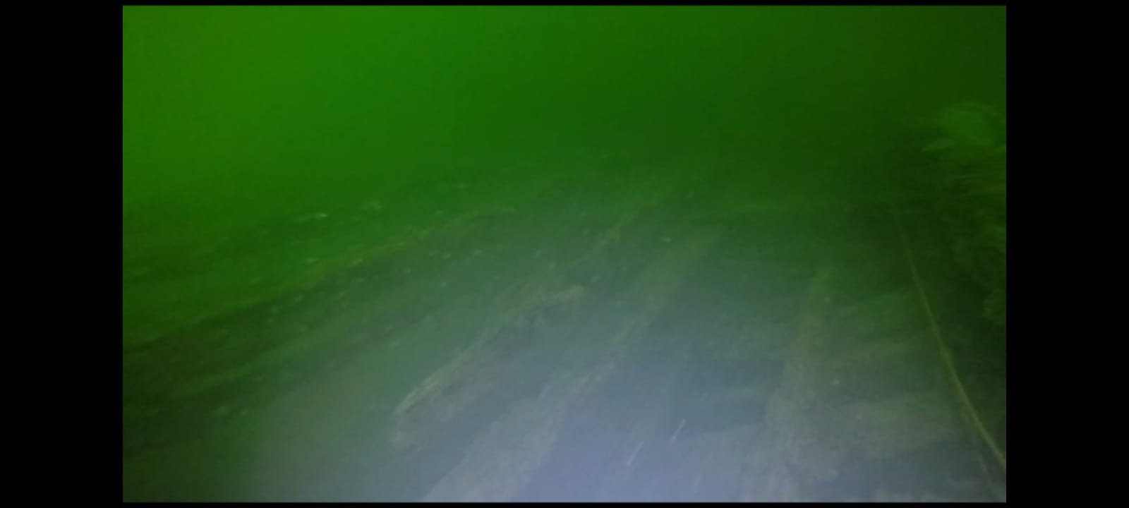 4c524c2a-8fe3-4f3a-a325-15bcac6a46e5.jpeg