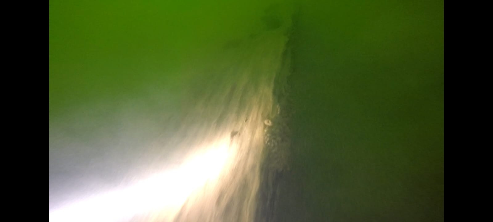 ac76fd98-977d-4302-84e3-1c7431ab3463.jpeg