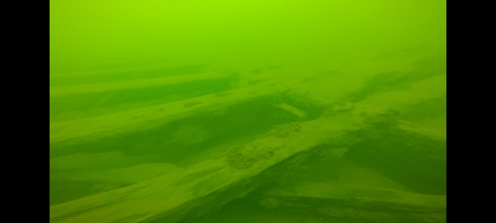 ed347f66-2377-4780-b671-ce14db9b98a9.jpeg