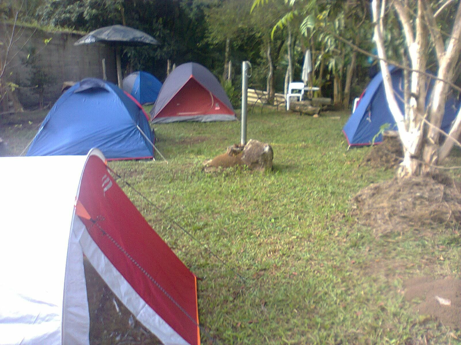 0997ecdc-1a08-4c62-ac93-fef565b2c7bc-1.jpeg