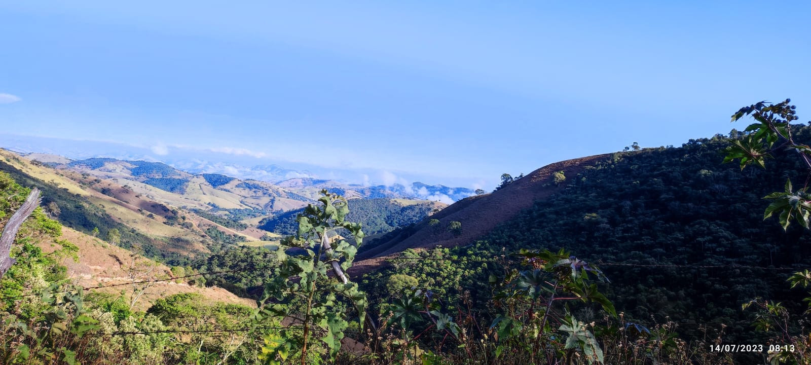 780ac759-2c2d-4300-a2f2-fe5c3630878d-2.jpeg